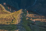 Grisedale-14