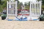 SBM_45601