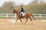 SBM_002083