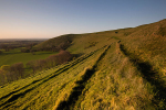 Evening light, Hambledon Hill