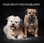 equiscot1871