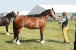 SBM_02349