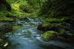Lydford Gorge_19_9_21-RLP31068