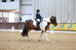 SBM_005937