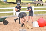230609A-180305-01765