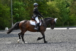 WJ5_9765