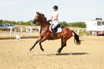 SBM_002633