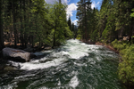 Kings River- Kings Canyon