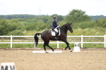 SBM_001354