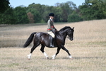 WJ7_7608