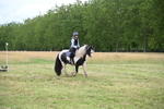 WJ6_5593