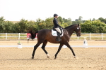 SBM_005258