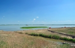 Hortobágy National Park, Hajdú-Bihar county, Hungary