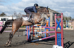 Senior Showjumping_10-11-2019-17