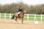 SBM_005981