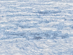 ICE PLATES, 2018 - PORT DOVER