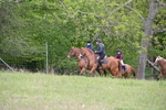 WJ6_2014