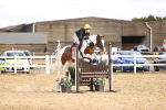 SBM_003979
