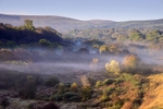 Preseli Hills Autumn Colour