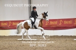 BPP_9083