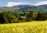 Moel Famau -Clwydian Range