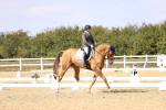 SBM_015084