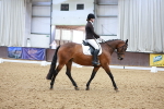 SBM_006951