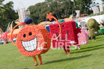 North Show 2017-40