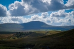 DSCF4388