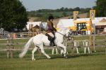 SBM_10253