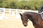 SBM_003744