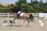 SBM_020928