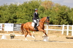 SBM_006528