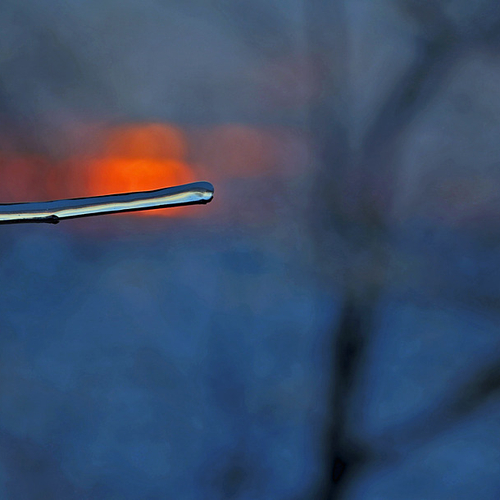 The extent of an icestorm's wrath becomes most apparent in the magic light of twilight