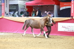 SBM_02993