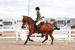 Class 410 - Grassroots Ridden - Horse portfolio