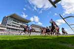 240824-Race 5-Elmonjed-4611