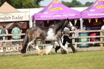 SBM_08753