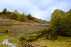 Lake District portfolio