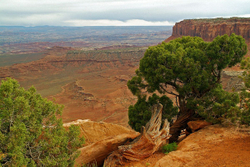 Canyonlands National Park portfolio