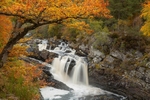 Rogie Falls