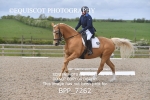 BPP_7262
