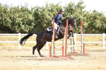 SBM_000055