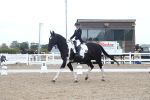 SBM_04961