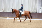 SBM_001984
