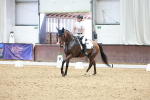 SBM_001053