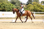 SBM_003701