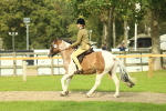 SBM_68118