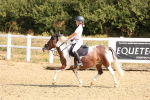 SBM_000664