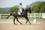 SBM_009681